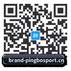 iPhone 专版 二维码