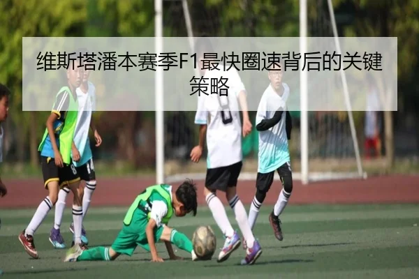 维斯塔潘本赛季F1最快圈速背后的关键策略